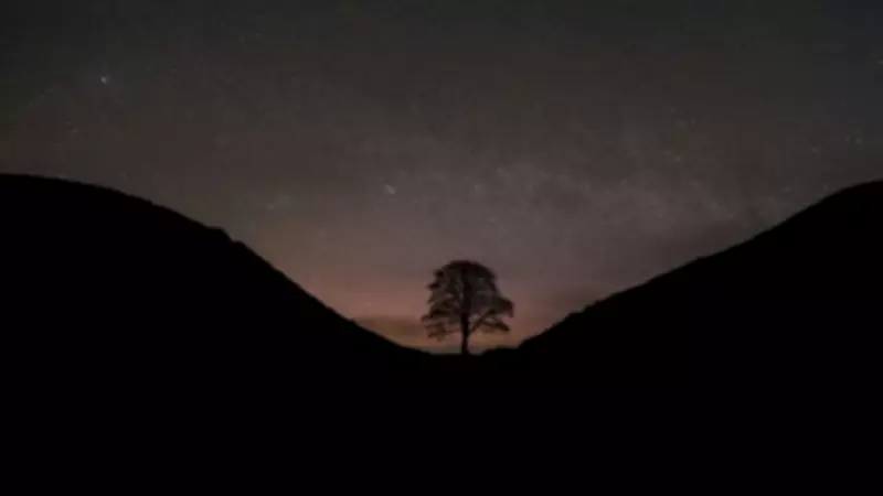 Northumberland Named UK's Top Stargazing Spot Amid Rising Astro-Tourism