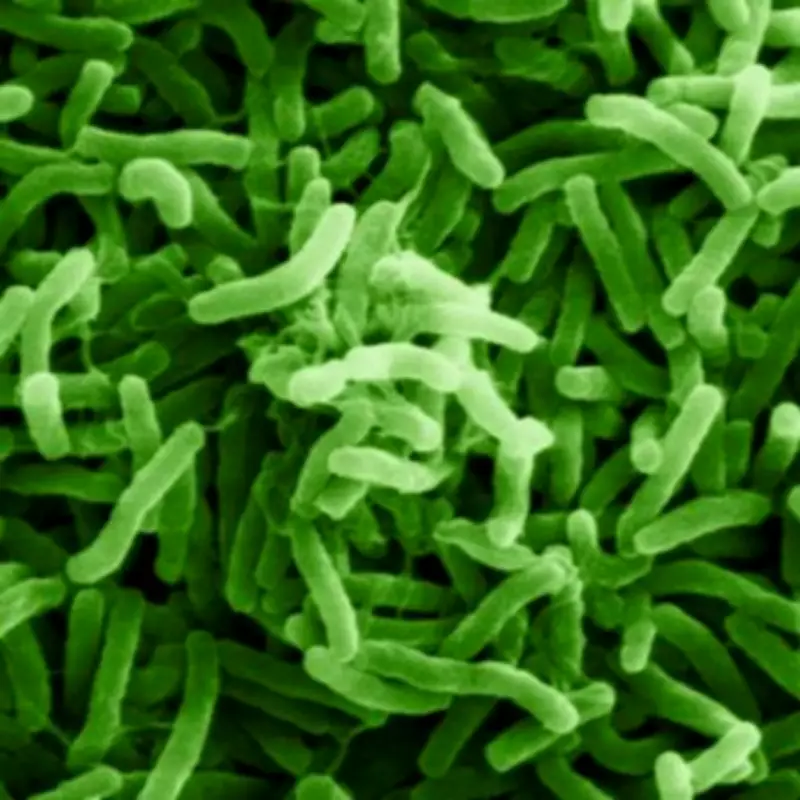 Nuneaton Pensioner Dies After Suspected Cholera Case, First in 125 Years