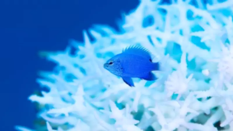 Ocean Photography Exhibition Makes UK Debut at Historic Dockyard Chatham