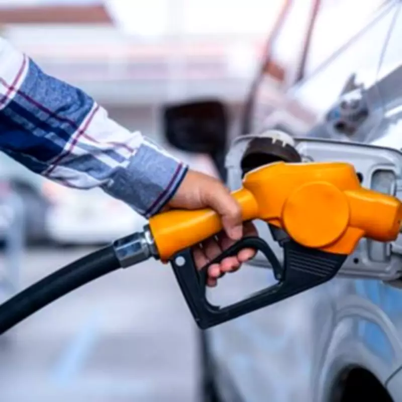 Petrol and Diesel Cars Face 'Unviable' Future as Electric Vehicles Gain Dominance