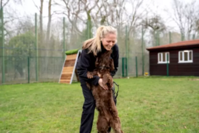 Prison Service Dogs to Make Historic Debut at Crufts 2026 in Birmingham