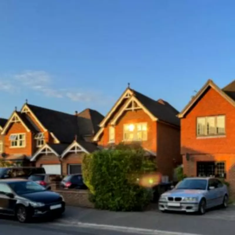 Rat Infestation Epidemic Ravages Cars on English Driveways, Costs Soar