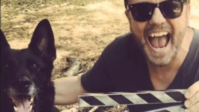 Ricky Gervais Backs Yorkshire Charity's Fight Against Pet Ban in Homeless Housing