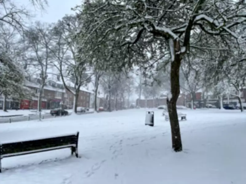 Snow Forecast for Birmingham and West Midlands: Exact Timing and Details