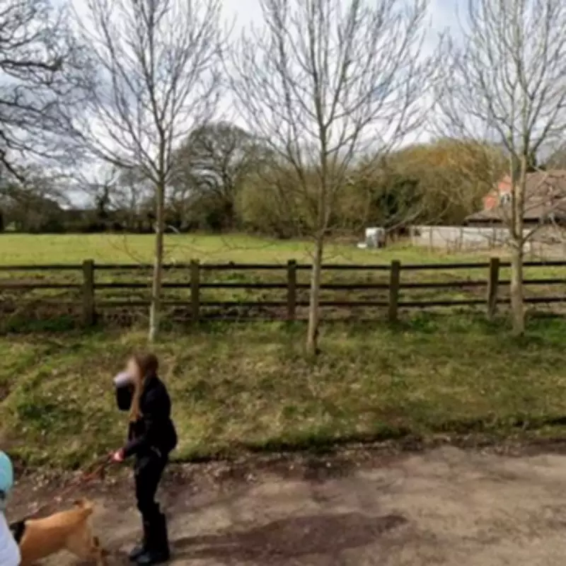 Solihull Farm Gains Approval for New Dog Walking Field to Meet Local Demand