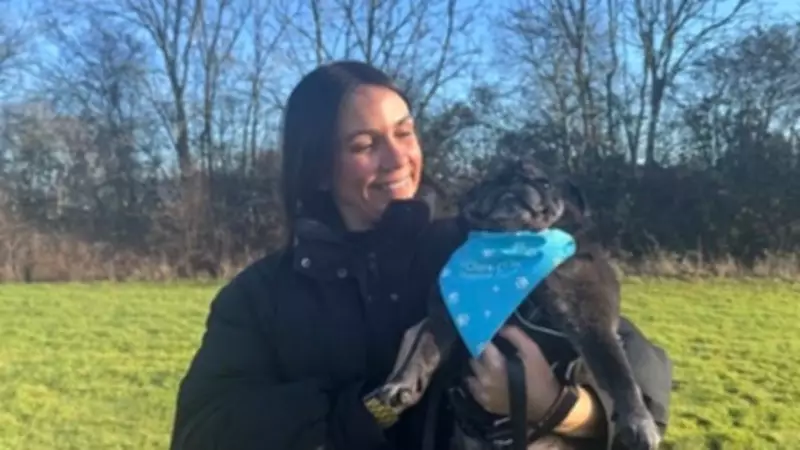 St Clare Hospice's Paws for a Cause Dog Walk Returns for Second Year