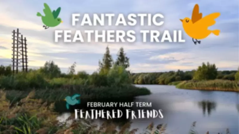 Stanwick Lakes Hosts Bird-Themed Half-Term Activities for Families