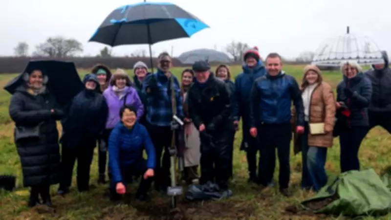 Sycamore Gap Sapling Planted at Welsh Hospital as Symbol of Hope for Chronic Conditions