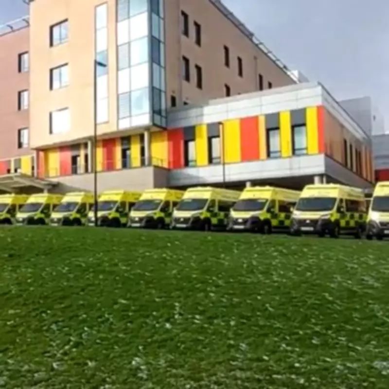 Teen's Tragic Death After Tummy Upset Reveals Rare Bacterial Complication