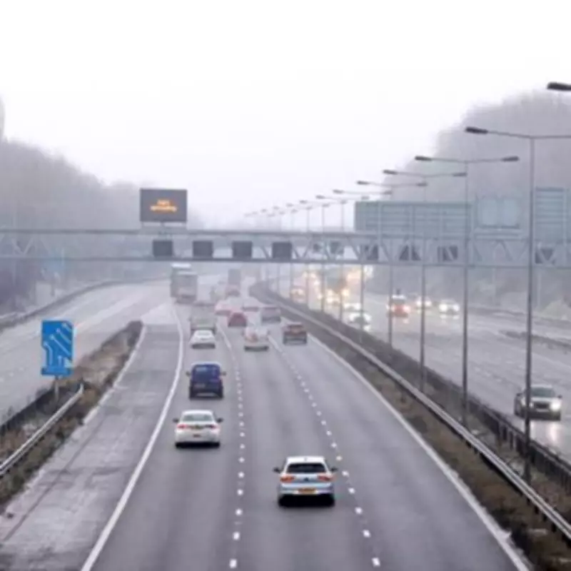 Three Major Driving Changes in February: New Fuel Rules and Digital Licences