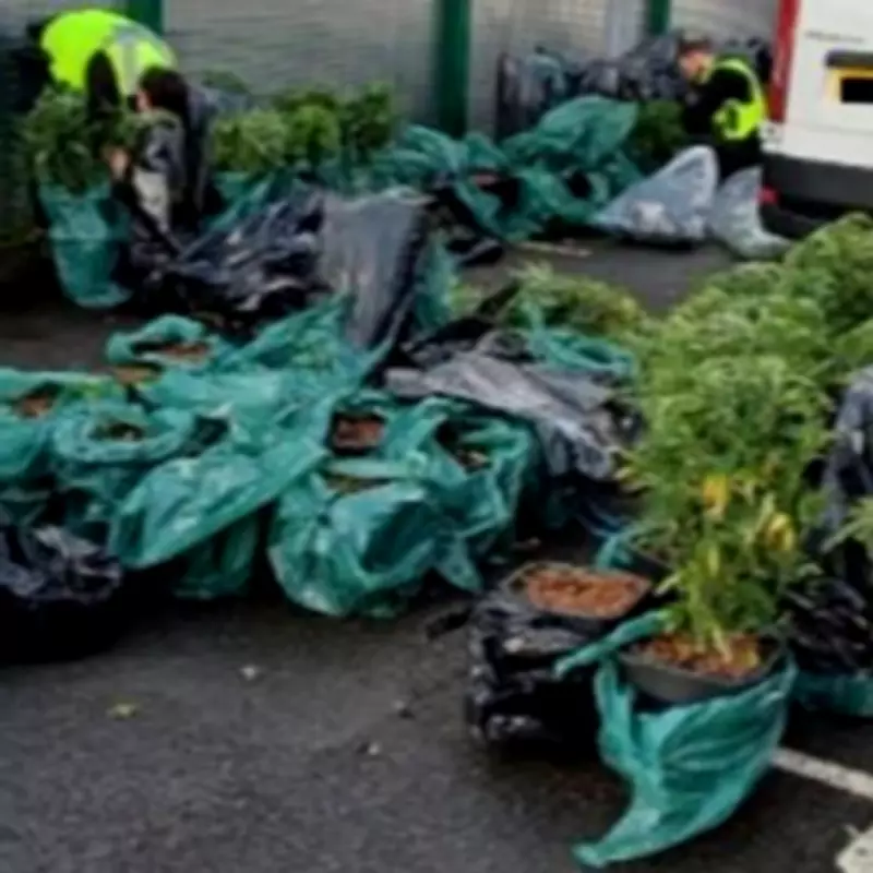 Three Men Arrested in Birmingham After Police Find Van Packed with Cannabis Plants