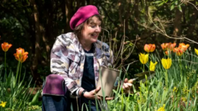 Top Spring Planting Tips from Garden Designer Ann-Marie Powell