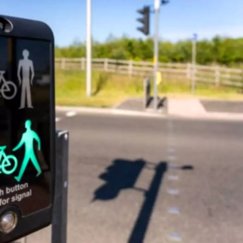 Traffic Lights Could Automatically Turn Green for Cyclists in Safety Proposal
