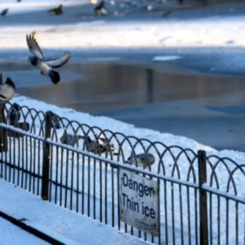 UK Braces for 500-Mile Snow Bomb with -8C Temperatures This Week
