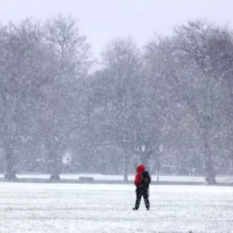 UK Braces for Intense Snow Storm with Four Inches Per Hour Forecast