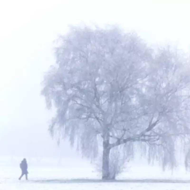 UK Braces for 'Massive' Snow Event This Weekend with Valentine's Day Arrival
