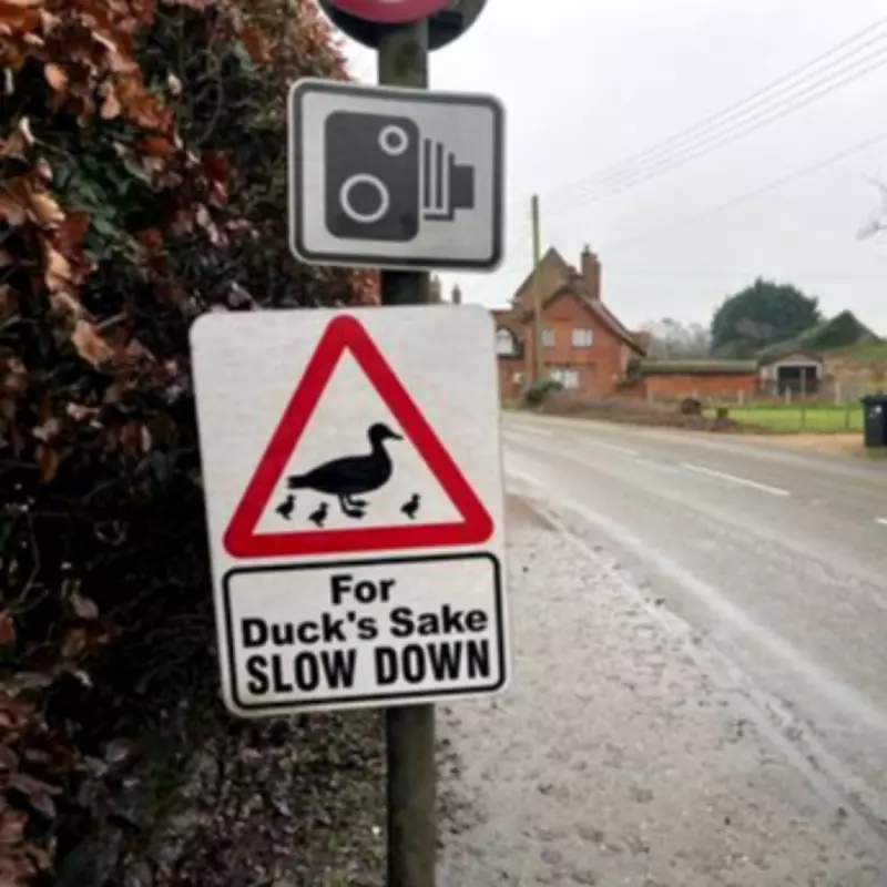 Village Divided Over Speed Signs Funded by Driver Who Later Killed Partner