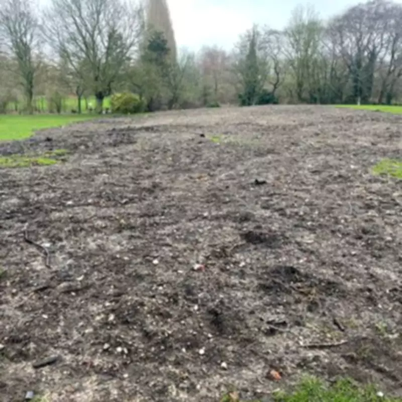 Walsall Council Ordered to Remove Hazardous Waste from Arboretum After Dogs Injured