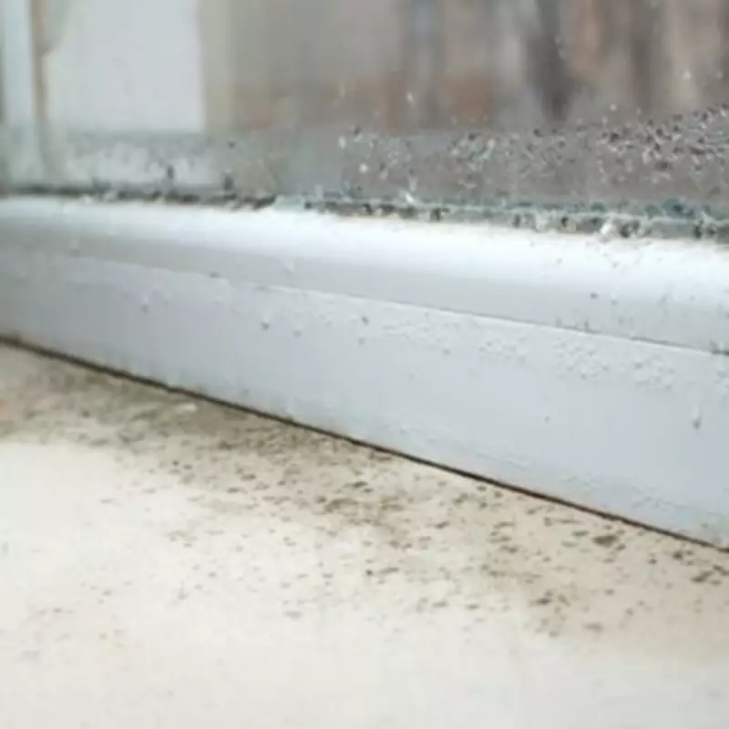 Warwickshire Councillors to Question Landlords Over Mould Crisis in Rentals