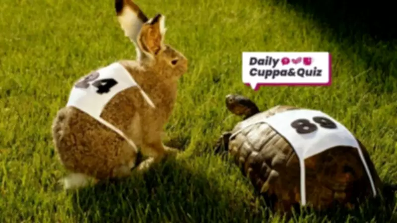 Wednesday Quiz: Test Your Knowledge with Our Weekly Brain Teaser