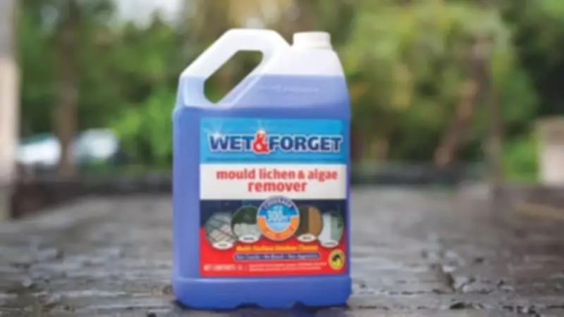 Wet Winter Fuels Mould Growth: Amazon's Top-Rated Cleaner Now 25% Off