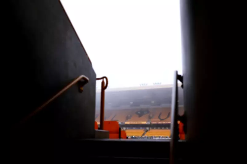 Wolves Star Joao Gomes Emerges as Napoli's 'Main Target' for Summer Transfer