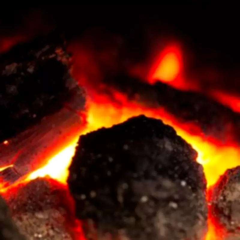 Wood Burners Face Potential Restrictions in England Under Labour's Air Quality Plans