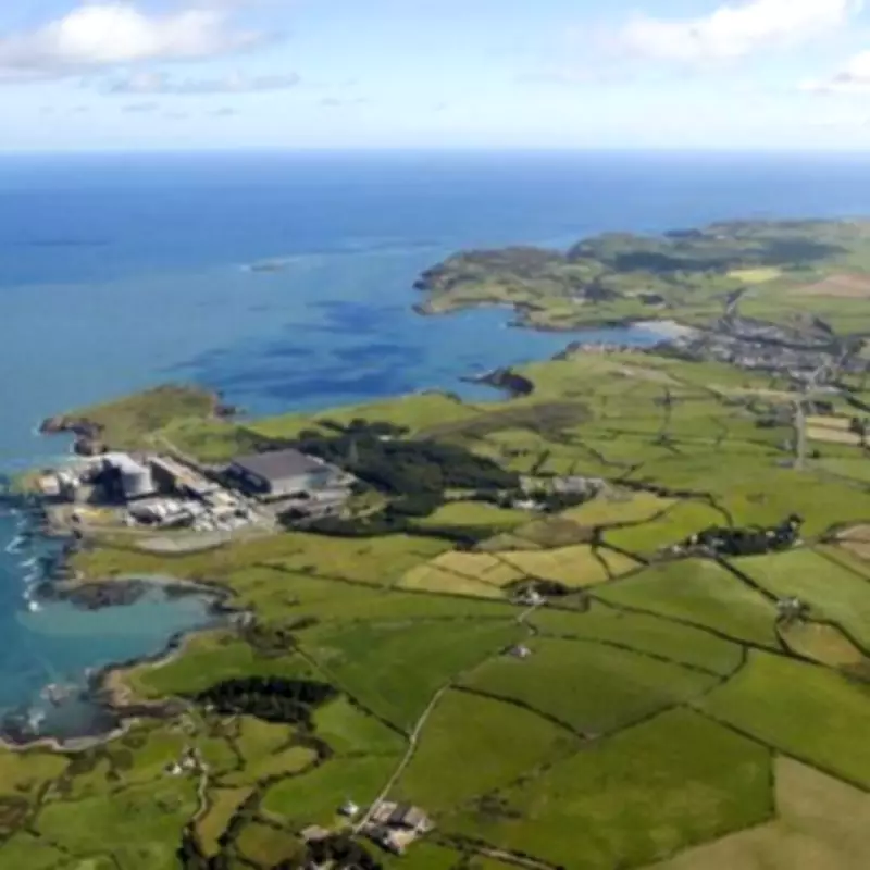 Wylfa Nuclear Site Awarded £25m Contract for Environmental Works