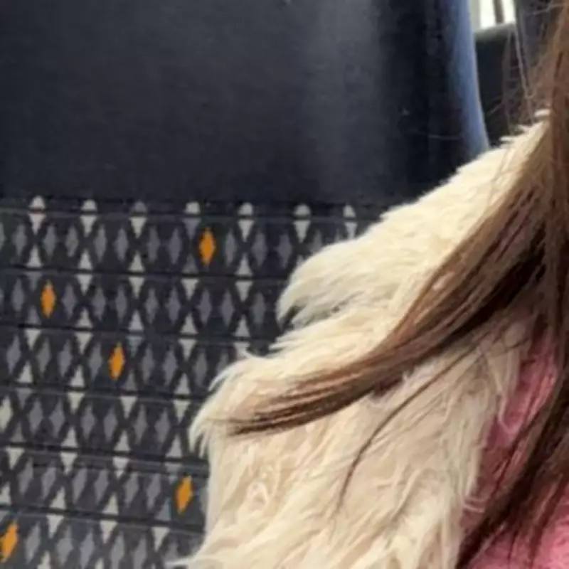 Young Woman's Harassment Ordeal on UK Trains Sparks Safety Concerns