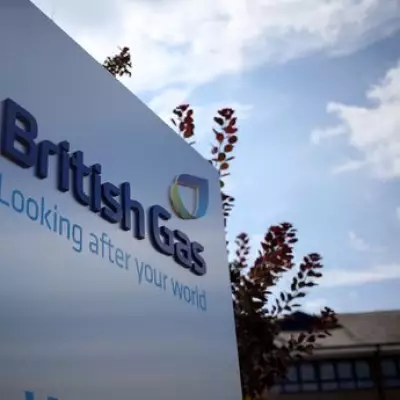 British Gas Profits Fall as Customers Switch to Fixed Energy Tariffs