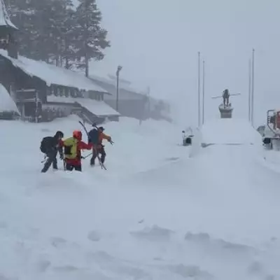 California Avalanche Tragedy: Eight Skiers Dead, One Missing in Sierra Nevada