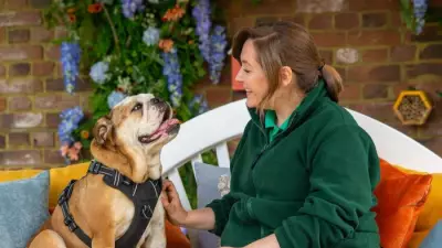Channel 4's The Dog House Seeks New Adopters Amid UK Rescue Crisis