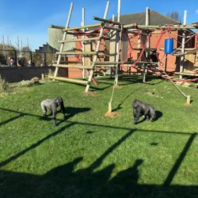 Family's Delightful Day at Twycross Zoo, Just 30 Minutes from Birmingham