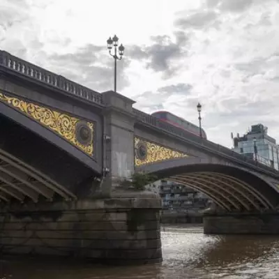 Father Avoids Jail After Drunkenly Throwing Daughter's Kittens into River Thames