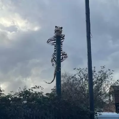 Fly-Tipping Crisis in Willenhall: Councillor Demands Action on Springvale and Ann Street