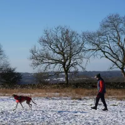 Fourteen English Counties Brace for 441-Mile 'Snow Bomb' as West Midlands Escapes