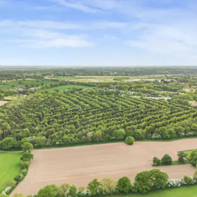 James Bond-Style Hideaway Opportunity in Warwickshire Woodland Near Birmingham