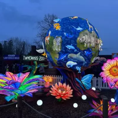 Lanterns of the Wild: Twycross Zoo's Magical Light Trail Offers Family Fun This Half Term