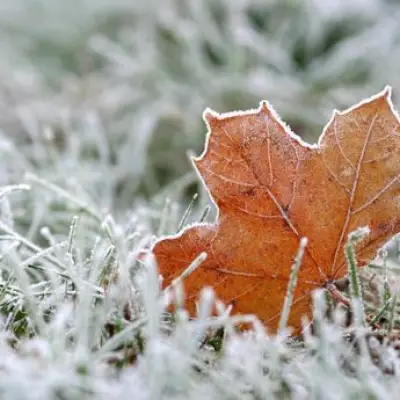 Met Office Issues Yellow Snow Warning for Birmingham with Hour-by-Hour Forecast
