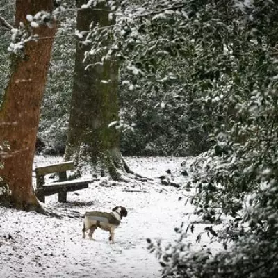 Midlands Braces for 2.7cm Snowfall: Hourly Arrival Forecast Unveiled