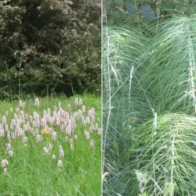 Midlands Expert Warns 'No Greenbelt Is Safe' After 115-Home Development Sets 'Worrying Precedent'