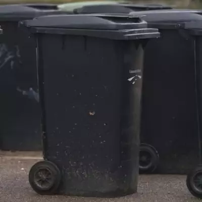 New National Bin Collection Rules Start March 31: Households Receive Extra Bins