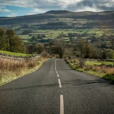 Police Urge 10mph Speed Limit Near Horses After 58 Deaths in Road Incidents