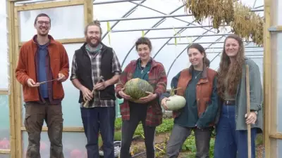 Powys Orchard Event: Learn Fruit Tree Planting at Wern Farm's Free Workshop