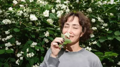 Winter Scented Plants: Transform Your Garden with Fragrant Blooms