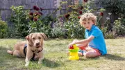 Autism Assistance Dog Albie Transforms Life for Seven-Year-Old Seb in Grantham
