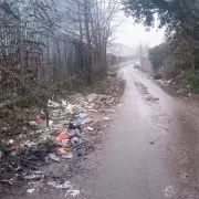 Birmingham Business Slams Council Over Fly-Tipping 'Hotspot' in Kings Norton