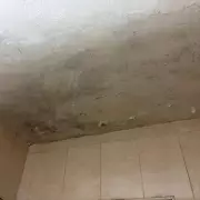 Birmingham Tourist Left Homeless at 2am After Fleeing Mouldy Holiday Apartment