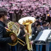 Birmingham's Cherry Blossom Concert Returns to Brindleyplace This Spring