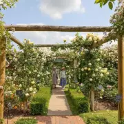 David Austin Roses Expert Reveals Key February Task for Summer Blooms